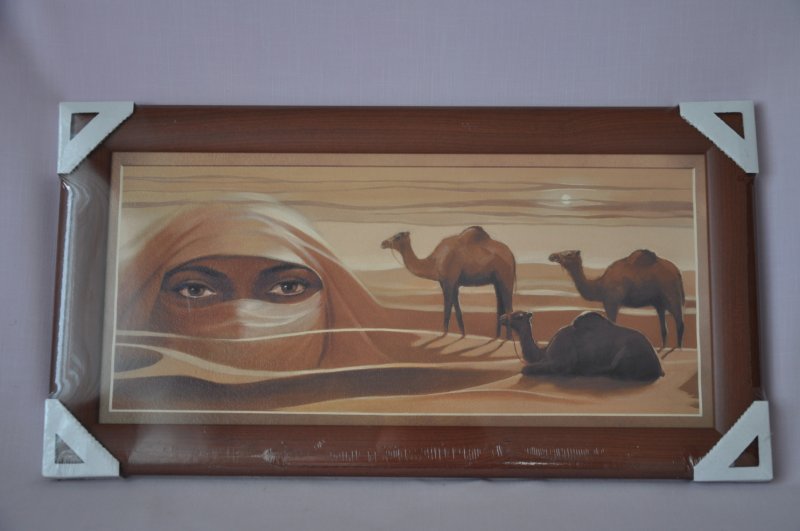 Obraz Sahara 56x30 tmavý rám O3