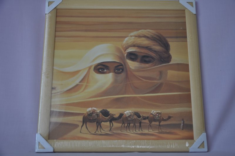 Obraz Sahara 56x56 světlý rám O5