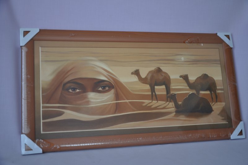 Obraz Sahara 77x40 tmavý rám O7