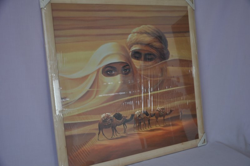 Obraz Sahara 76x76 světlý rám O10