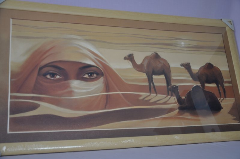 Obraz Sahara 107x57 světlý rám O11