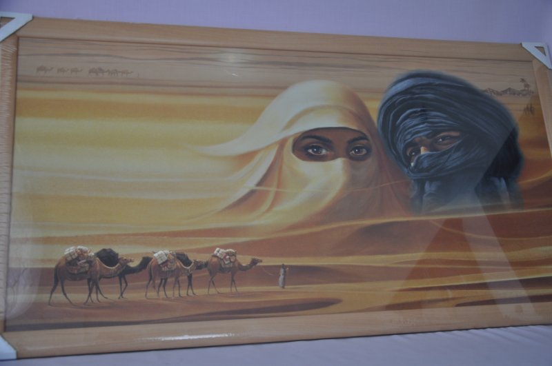 Obraz Sahara 107x57 světlý rám O13