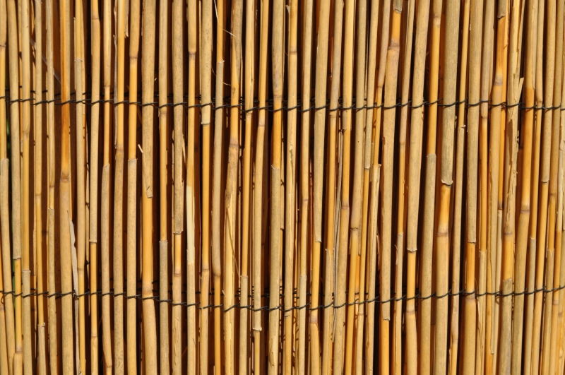 Rohož plotová rákos 130x500 cm
