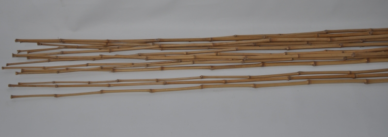Bambusová tyč 1,5 cm, délka 3 m