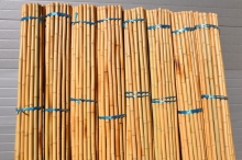 Bambusová tyč průměr 3-4 cm, délka 3 metry