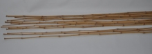 Bambusová tyč 1,5 - 2 cm, délka 3 m