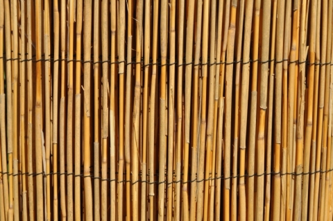 Rohož plotová rákos 150x500 cm