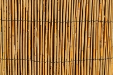 Rohož plotová rákos 150x500 cm